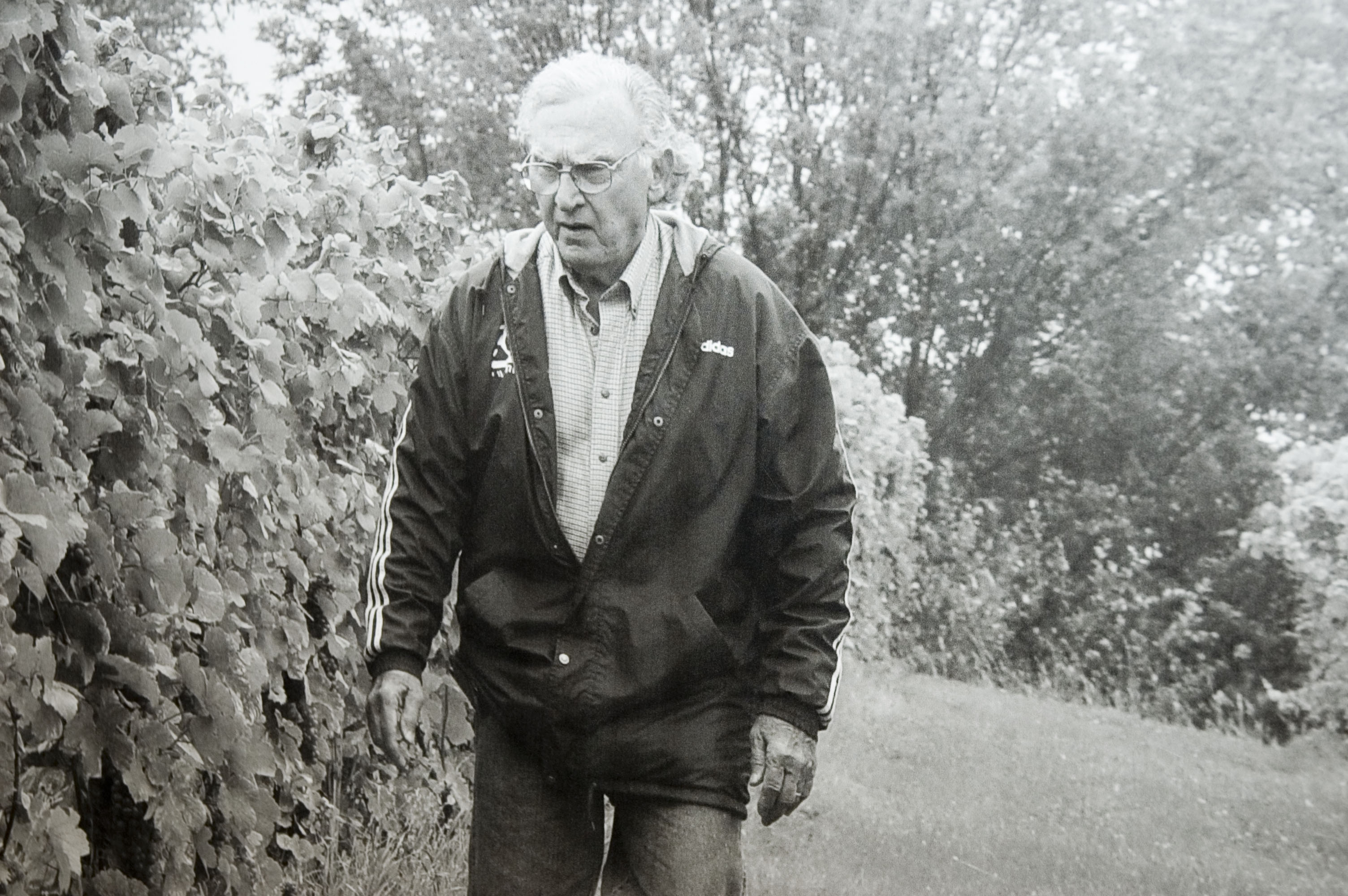 madonnas_father_in_his_vineyard2008