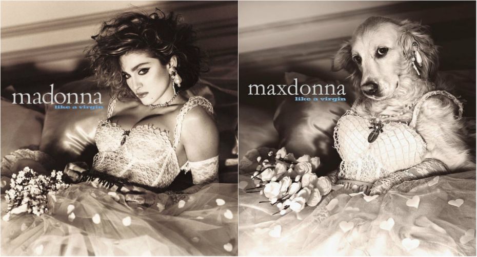 Maxdonna (3)