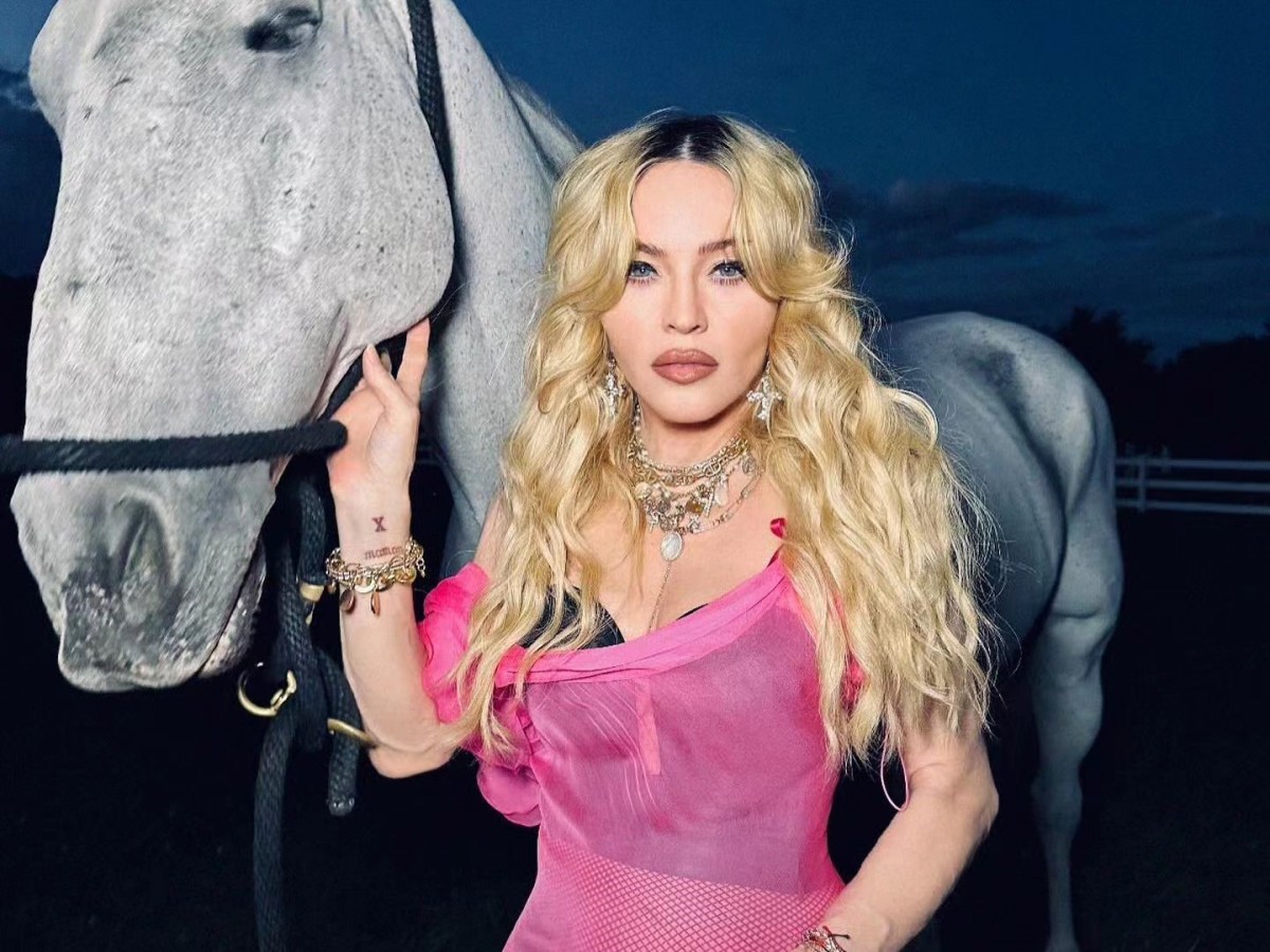 PORTFOLIO: RICARDO GOMES –&nbsp;«HORSE»